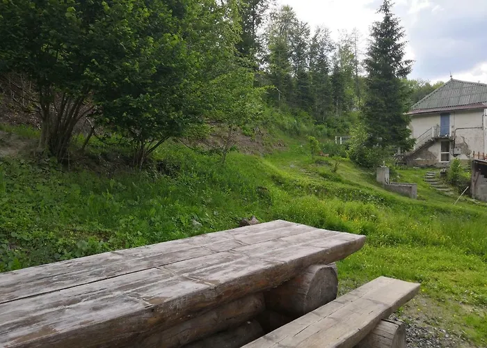 De Champflorin Holiday home Seyne